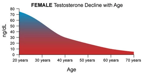 a graph showing FEMALE Testosterone Declining with Age