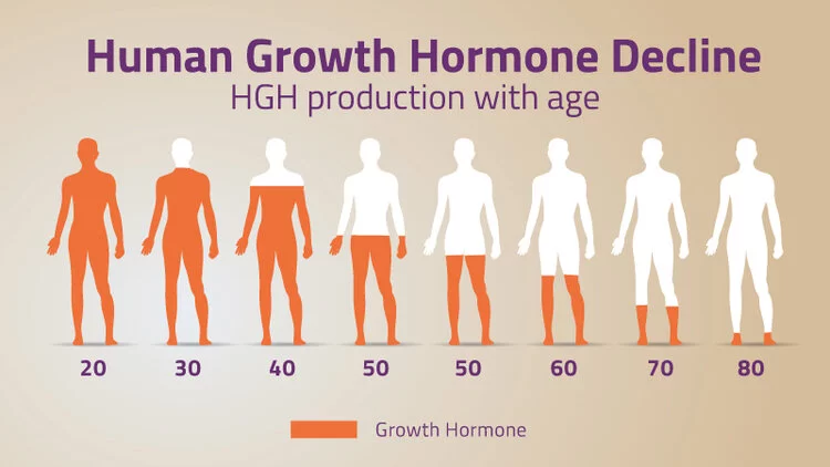 a graph showing Human Growth Hormone Declining
