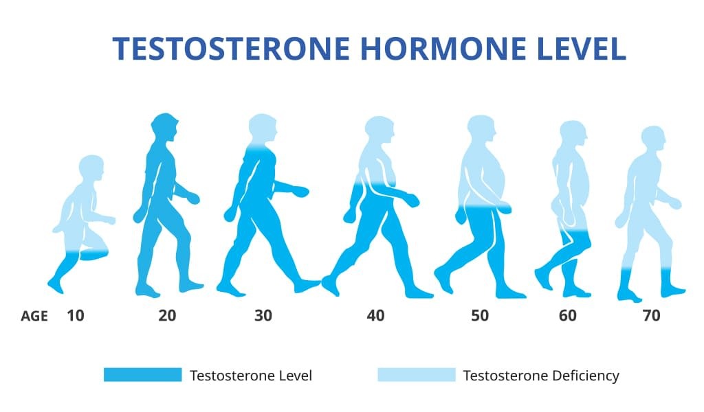 Testosterone Replacement Therapy Trt For Men Alpha Hormones