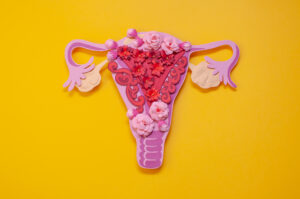 Ovaries.