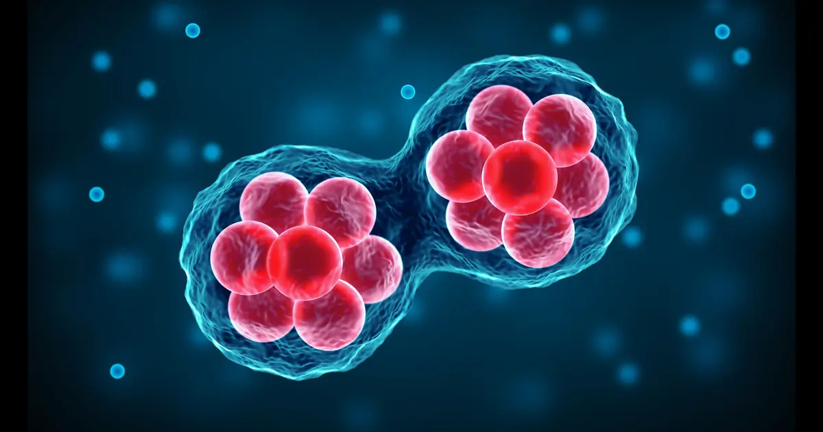Stem Cell Therapy Pasadena | Trusted in Regenerative Medicine
